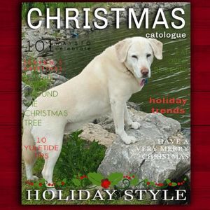 Meet your Posher, Julia